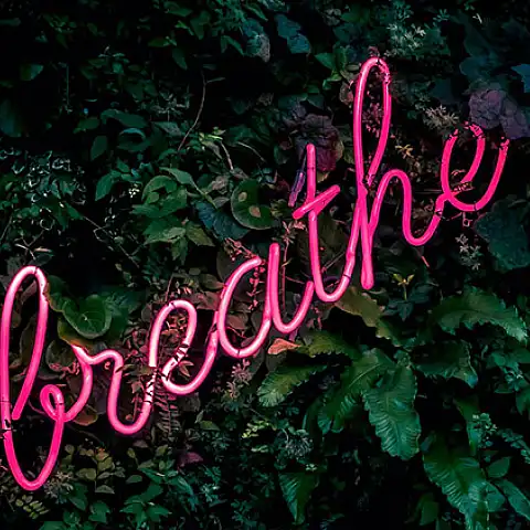 Capturing Essence: Expressive Line Art Techniques