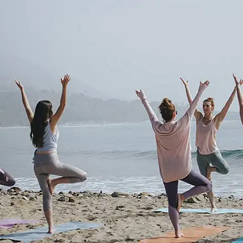 Organic Geometry: Exploring Geometric Line Art