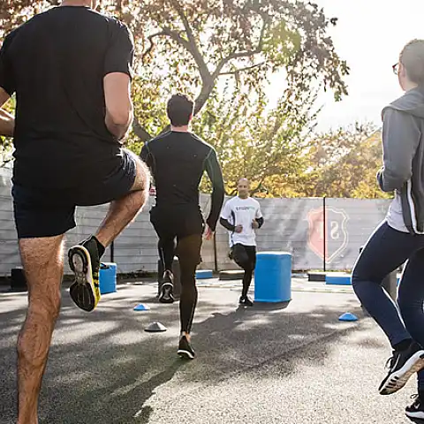 Fluid Lines, Infinite Possibilities: Line Art Inspirations