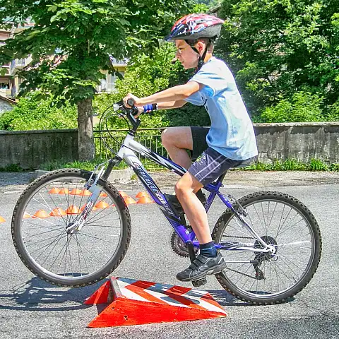 Ciclopatente nelle scuole: Introbio - 2011