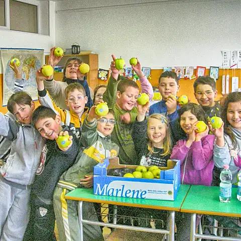 Ciclopatente nelle scuole: Garbagnate - 2011